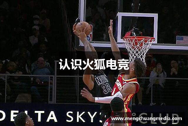 认识火狐电竞